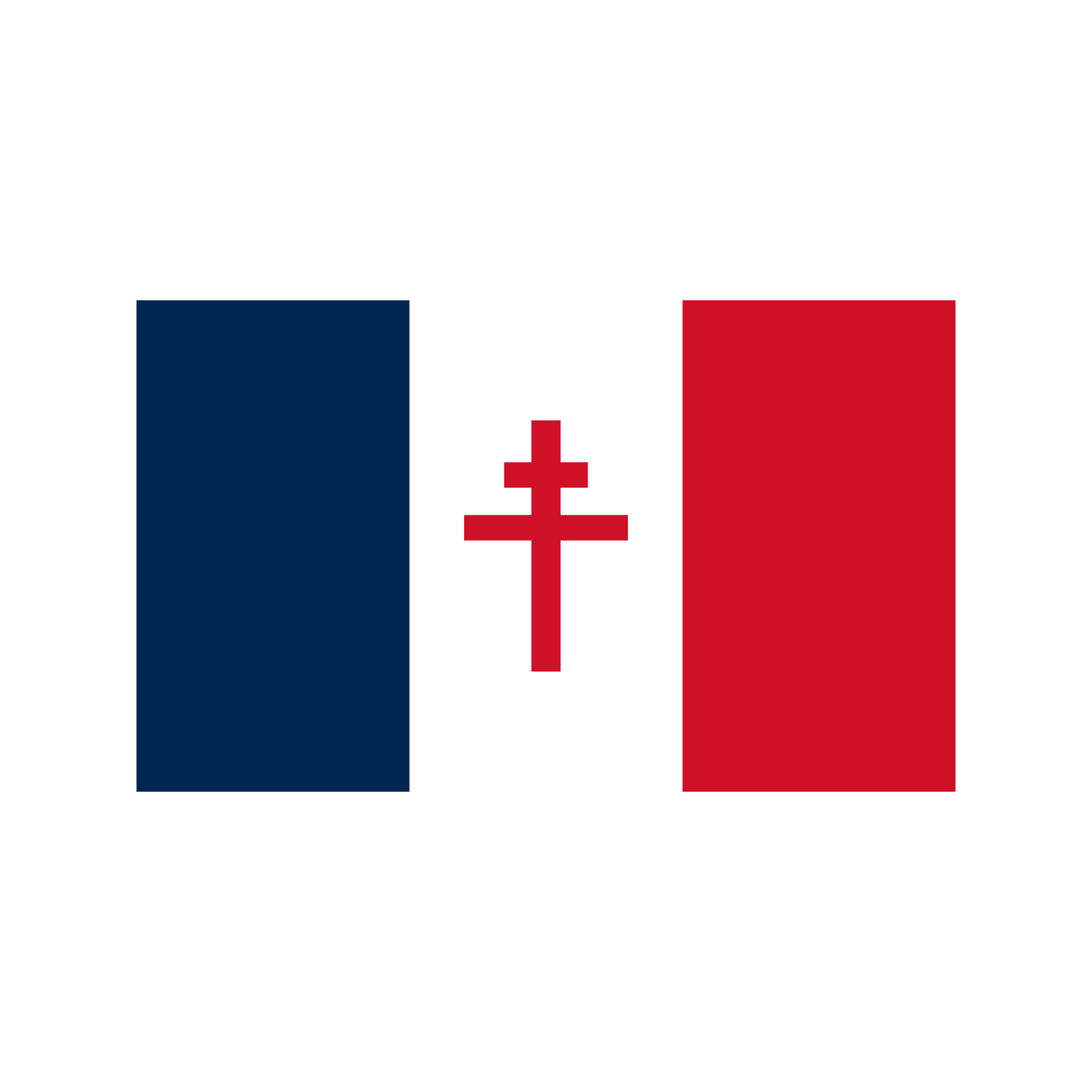 Drapeau France Libre