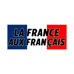 50 Stickers La France aux français Bleu Blanc Rouge natio